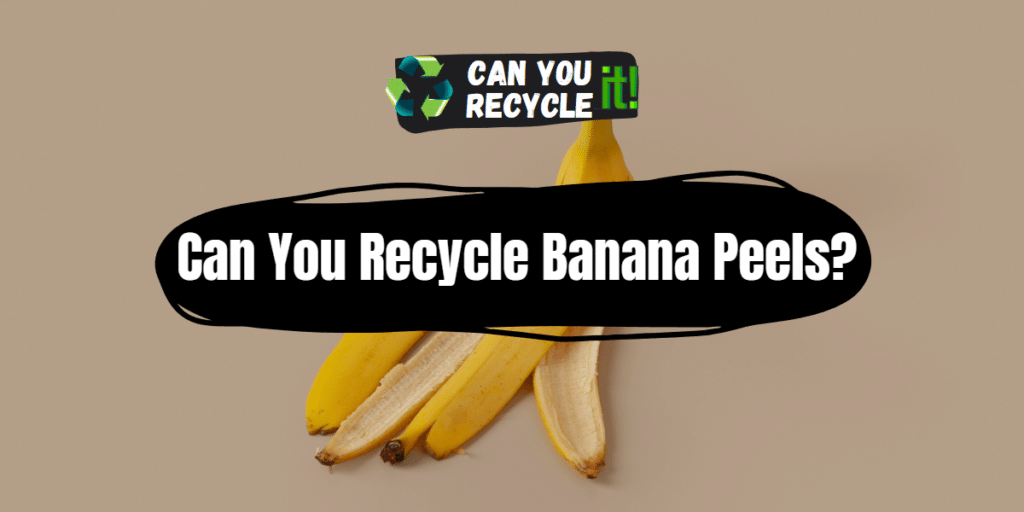 Can You Recycle Banana Peels? Can You Recycle It?